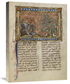 Franco-Flemish 13th Century - A Dragon Charging Two Doves