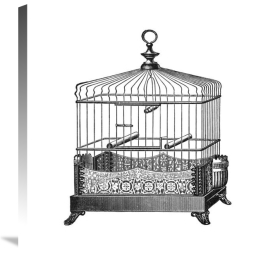 Catalog Illustration - Etchings: Birdcage - Filigree base.