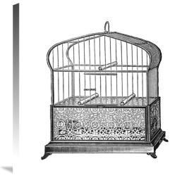 Catalog Illustration - Etchings: Birdcage - Onion-peak top, filigree pattern base
