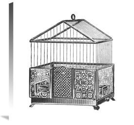 Catalog Illustration - Etchings: Birdcage - Peaked top, patterned base.
