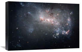 NASA - Stellar Fireworks Ablaze in Galaxy NGC 4449