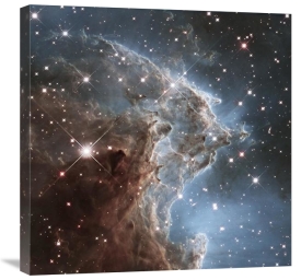 NASA - Infrared View of NGC 2174