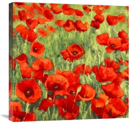 Silvia Mei - Poppies