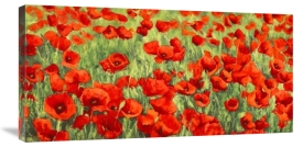 Silvia Mei - Poppy Field
