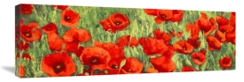 Silvia Mei - Poppy Field (detail)