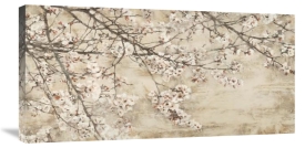 Silvia Mei - Ciliegio in fiore