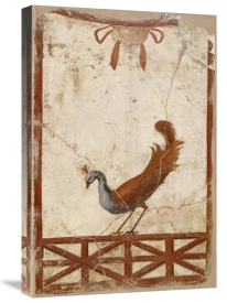 Unknown 1st Century Roman Artisan - Wall Fragment with a Peacock