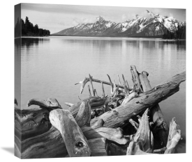 Ansel Adams - Driftwood on shore of Jackson Lake, with Teton Range in background, Grand Teton National Park, Wyoming, 1941