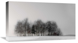 Gilbert Claes - Winter Forest