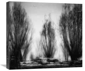 Yvette Depaepe - One May Day