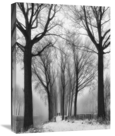 Yvette Depaepe - Then Winter Comes