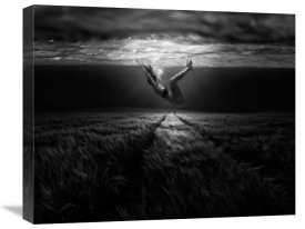 Peter Majkut - Underwaterlandream