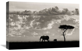 Mario Moreno - Silhouettes Of Mara