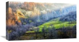 Adrian Popan - November Colors