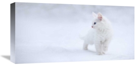 Esmee Prexus - White As Snow