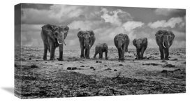 Marcel Rebro - Big Family