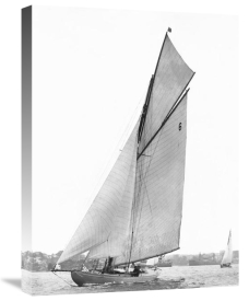 Anonymous - Sailing in Sydney Harbour