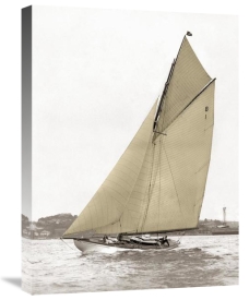Anonymous - Victorian sloop on Sydney Harbour