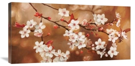 Thomlinson - Sakura
