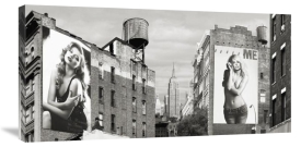 Lauren - Billboards in Manhattan