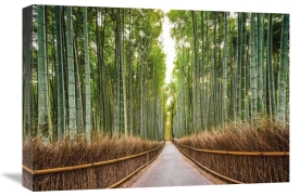 Pangea Images - Bamboo Forest, Kyoto, Japan