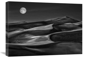 Yvette Depaepe - The Night Walked Down The Sky