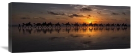 Louise Wolbers - Sunset Camel Safari
