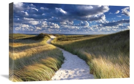 Katherine Gendreau - Philbin Beach Path