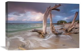 Katherine Gendreau - Driftwood Sunset