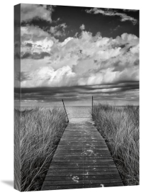 Katherine Gendreau - Oak Bluffs Beach Path
