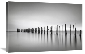 Katherine Gendreau - Still BW