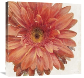Danhui Nai - Vivid Daisy