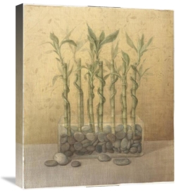 Danhui Nai - Lucky Bamboo