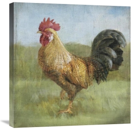 Danhui Nai - Noble Rooster II Vintage No Border
