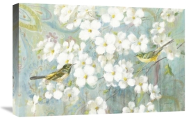 Danhui Nai - Spring Dream II