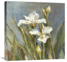Danhui Nai - Spring Iris II
