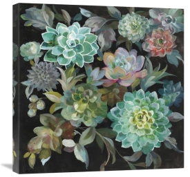 Danhui Nai - Floral Succulents