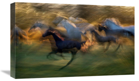 Milan Malovrh - Fiery Gallop