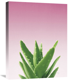 Felicity Bradley - Succulent Simplicity V Pink Ombre Crop