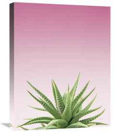 Felicity Bradley - Succulent Simplicity I Pink Ombre Crop