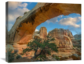 Tim Fitzharris - Arch, Hickman Bridge, Capitol Reef National Park, Utah