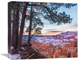 Tim Fitzharris - Hoodoos in winter, Bryce Canyon National Park, Utah