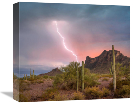 Tim Fitzharris - Saguaro cacti with lightning over peak in desert, Picacho Peak State Park, Arizona