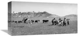 Arthur Rothstein - Branding Calves in Montana, 1939