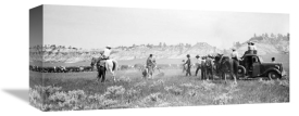 Arthur Rothstein - Branding during roundup, Montana, 1939