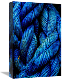 Francisco Ross - Untitled (Blue Ropes)