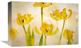 Nel Talen - Flowering tulips