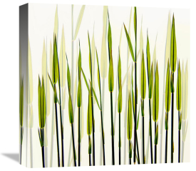 Nel Talen - A new beginning