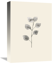 Uppsala Studio - Eucalyptus Twig