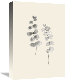 Uppsala Studio - Eucalyptus Twigs